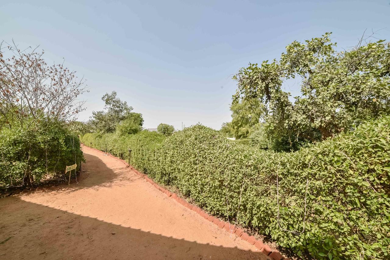 Pushkar Rajwara Resort Extérieur photo