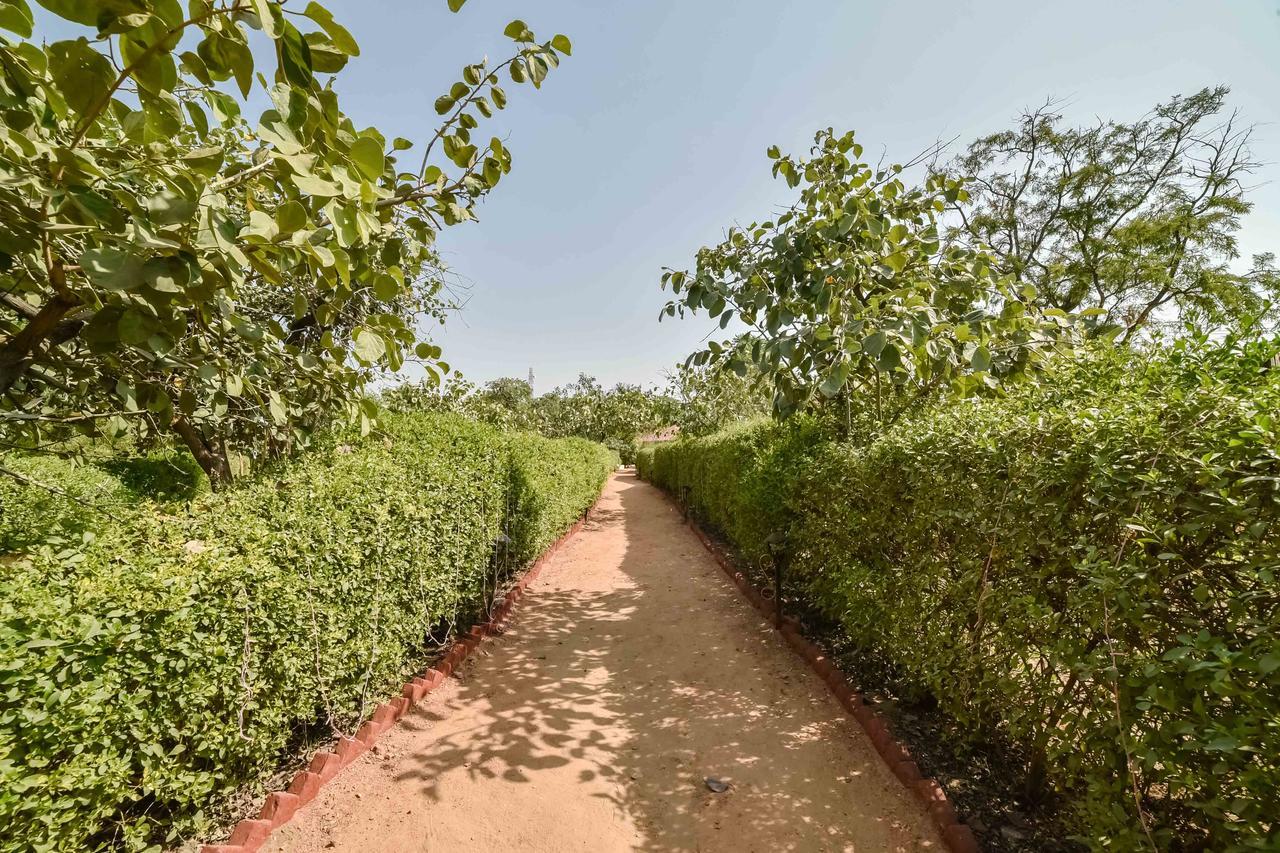 Pushkar Rajwara Resort Extérieur photo